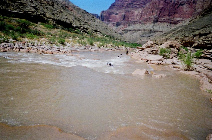 Muddy Little Colorado River