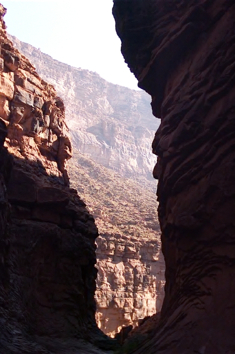Grand Canyon View