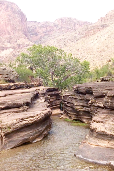 Patio Canyon River