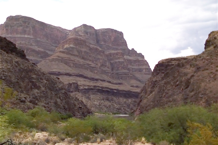 Grand Canyon View