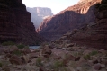 Grand Canyon View