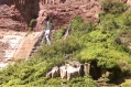 Grand Canyon Waterfalls
